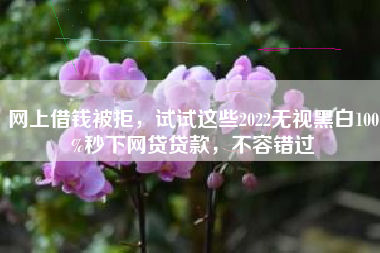 网上借钱被拒，试试这些2022无视黑白100%秒下网贷贷款，不容错过