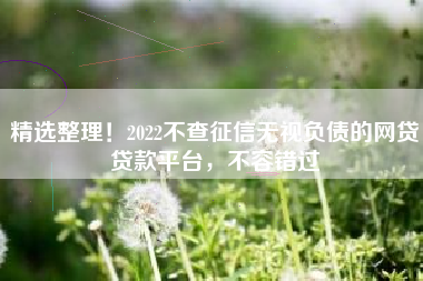 精选整理！2022不查征信无视负债的网贷贷款平台，不容错过