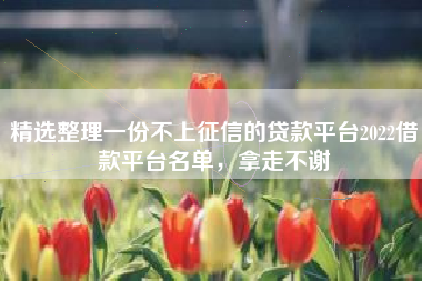 精选整理一份不上征信的贷款平台2022借款平台名单，拿走不谢