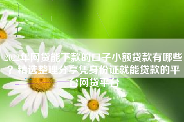 2022年网贷能下款的口子小额贷款有哪些？精选整理分享凭身份证就能贷款的平台网贷平台