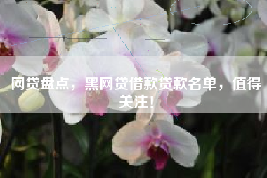 网贷盘点，黑网贷借款贷款名单，值得关注！