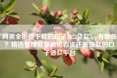 网黑全拒能下款的口子2022贷款app有哪些？精选整理分享被拒百次还能贷款的口子借款平台