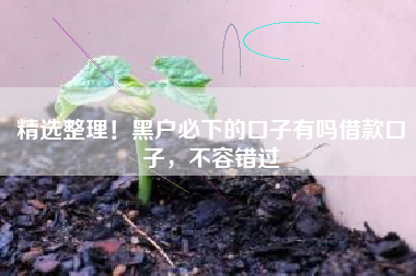 精选整理！黑户必下的口子有吗借款口子，不容错过