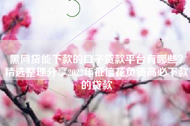 黑网贷能下款的口子贷款平台有哪些？精选整理分享2022年征信花负债高必下款的贷款