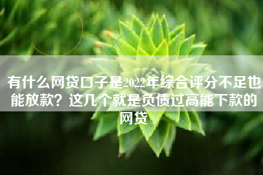 有什么网贷口子是2022年综合评分不足也能放款？这几个就是负债过高能下款的网贷
