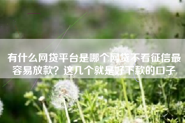 有什么网贷平台是哪个网贷不看征信最容易放款？这几个就是好下款的口子