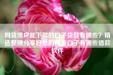 网贷黑户能下款的口子贷款有哪些？精选整理分享好批的网贷口子有哪些借款软件