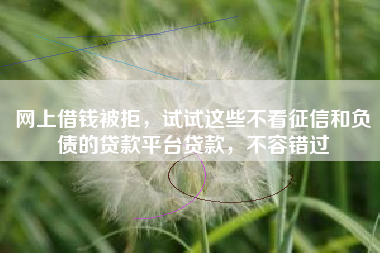 网上借钱被拒，试试这些不看征信和负债的贷款平台贷款，不容错过