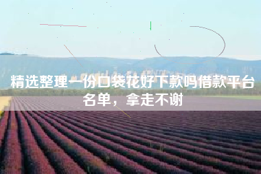 精选整理一份口袋花好下款吗借款平台名单，拿走不谢