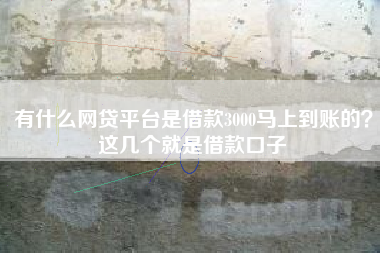 有什么网贷平台是借款3000马上到账的？这几个就是借款口子