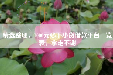 精选整理，1000元必下小贷借款平台一览表，拿走不谢