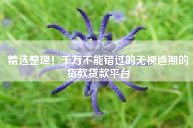 精选整理！千万不能错过的无视逾期的贷款贷款平台