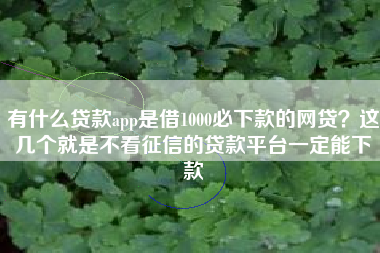 有什么贷款app是借1000必下款的网贷？这几个就是不看征信的贷款平台一定能下款