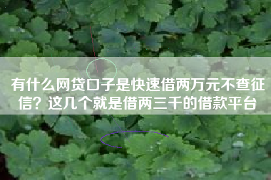 有什么网贷口子是快速借两万元不查征信？这几个就是借两三千的借款平台