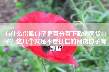 有什么借款口子是百分百下款的网贷口子？这几个就是不看征信的网贷口子有哪些