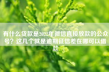 有什么贷款是2022年微信直接放款的公众号？这几个就是逾期征信差在哪可以借款