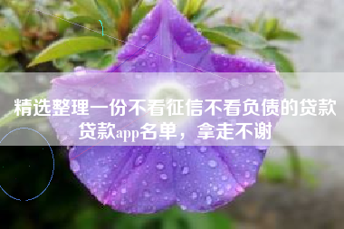精选整理一份不看征信不看负债的贷款贷款app名单，拿走不谢