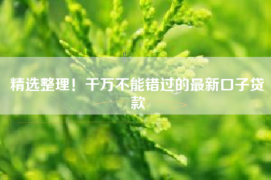 精选整理！千万不能错过的最新口子贷款