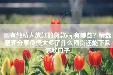 哪有纯私人放款的贷款app有哪些？精选整理分享负债太多了什么网贷还能下款借款口子