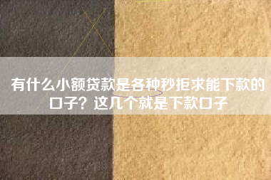 有什么小额贷款是各种秒拒求能下款的口子？这几个就是下款口子