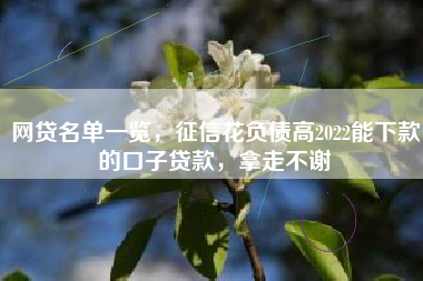 网贷名单一览，征信花负债高2022能下款的口子贷款，拿走不谢