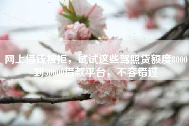 网上借钱被拒，试试这些驾照贷额度8000到50000借款平台，不容错过