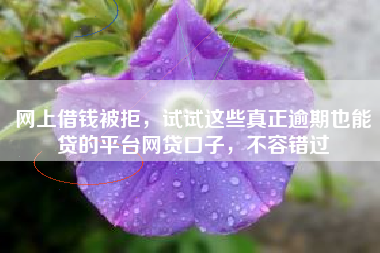 网上借钱被拒，试试这些真正逾期也能贷的平台网贷口子，不容错过