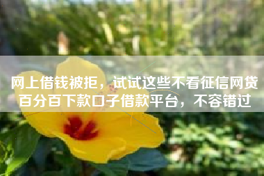 网上借钱被拒，试试这些不看征信网贷百分百下款口子借款平台，不容错过