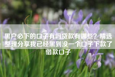 黑户必下的口子有吗贷款有哪些？精选整理分享我已经黑到没一个口子下款了借款口子