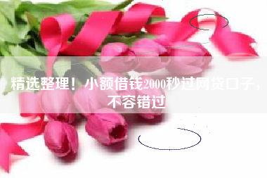 精选整理！小额借钱2000秒过网贷口子，不容错过