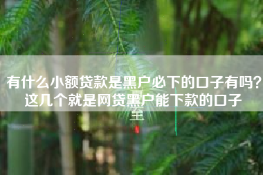 有什么小额贷款是黑户必下的口子有吗？这几个就是网贷黑户能下款的口子