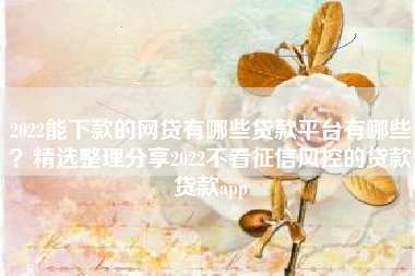 2022能下款的网贷有哪些贷款平台有哪些？精选整理分享2022不看征信风控的贷款贷款app