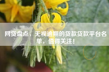 网贷盘点，无视逾期的贷款贷款平台名单，值得关注！