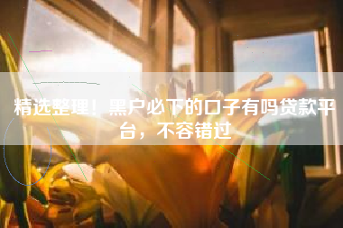精选整理！黑户必下的口子有吗贷款平台，不容错过