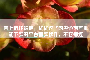 网上借钱被拒，试试这些网黑逾期严重能下款的平台借款软件，不容错过