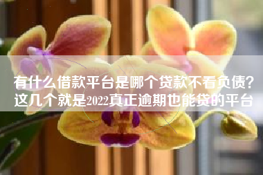有什么借款平台是哪个贷款不看负债？这几个就是2022真正逾期也能贷的平台