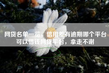 网贷名单一览，信用差有逾期哪个平台可以借钱网贷平台，拿走不谢