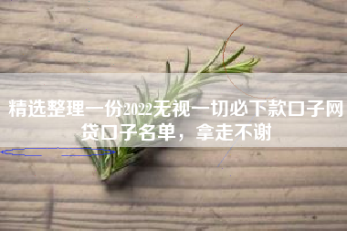 精选整理一份2022无视一切必下款口子网贷口子名单，拿走不谢