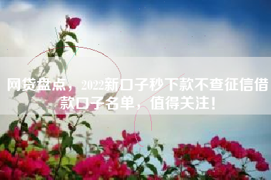 网贷盘点，2022新口子秒下款不查征信借款口子名单，值得关注！
