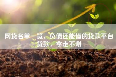 网贷名单一览，负债还能借的贷款平台贷款，拿走不谢