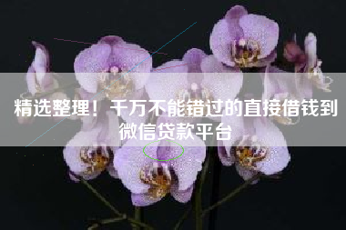 精选整理！千万不能错过的直接借钱到微信贷款平台