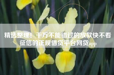 精选整理！千万不能错过的放款快不看征信的正规借贷平台网贷app