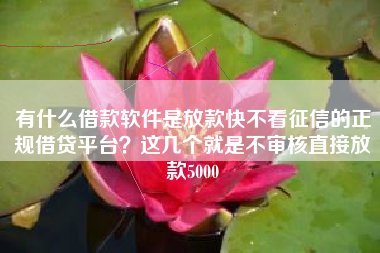 有什么借款软件是放款快不看征信的正规借贷平台？这几个就是不审核直接放款5000