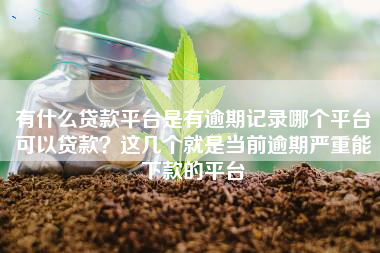 有什么贷款平台是有逾期记录哪个平台可以贷款？这几个就是当前逾期严重能下款的平台
