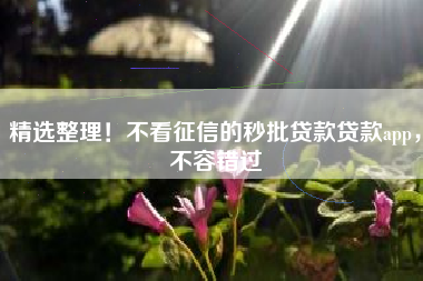 精选整理！不看征信的秒批贷款贷款app，不容错过