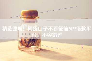 精选整理！网贷口子不看征信2022借款平台，不容错过