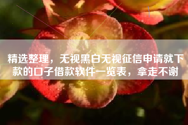 精选整理，无视黑白无视征信申请就下款的口子借款软件一览表，拿走不谢