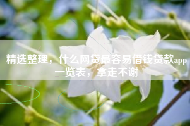 精选整理，什么网贷最容易借钱贷款app一览表，拿走不谢