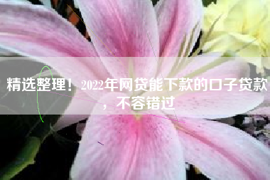 精选整理！2022年网贷能下款的口子贷款，不容错过