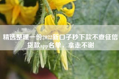 精选整理一份2022新口子秒下款不查征信贷款app名单，拿走不谢